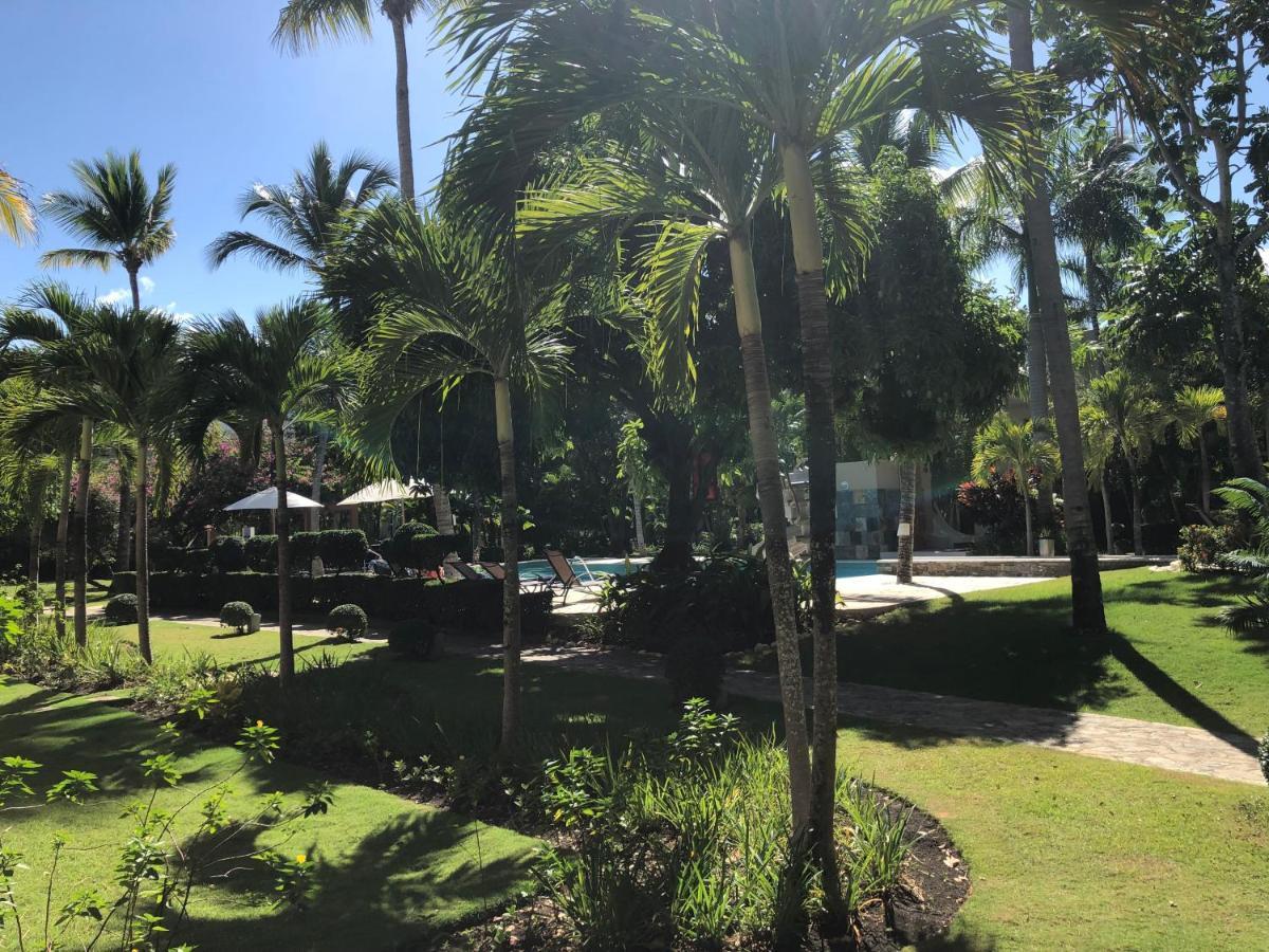 Comfortable Apartment In Caribbean Paradise Sosúa 외부 사진