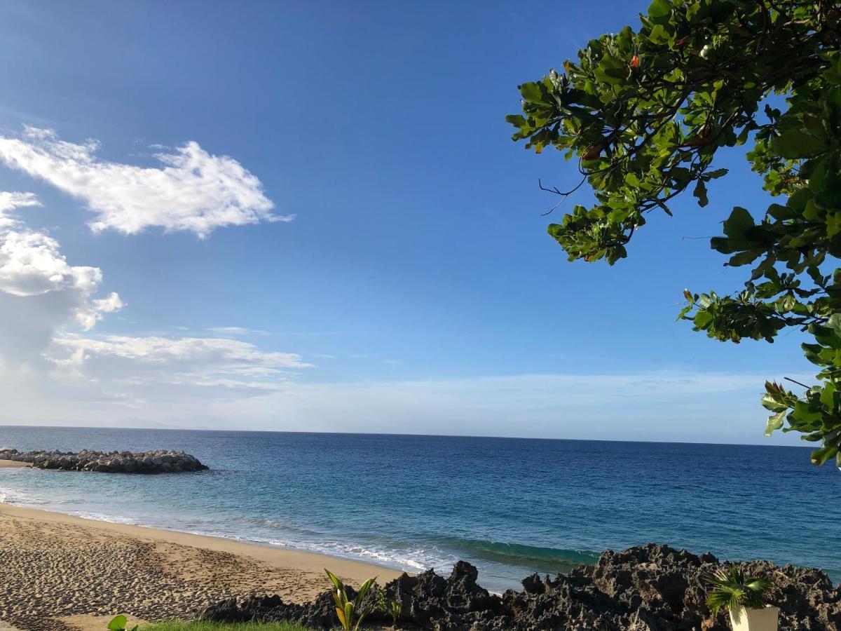 Comfortable Apartment In Caribbean Paradise Sosúa 외부 사진
